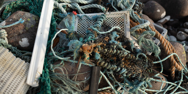 Beach Clean - Tanera Beg